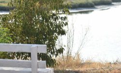 Γιατί τα θετικά αποφθέγματα δεν φέρνουν την ευτυχία