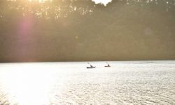 Οικογενειακή Συστημική Ψυχοθεραπεία