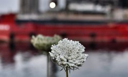 Τι είναι η “Ψυχική Ανθεκτικότητα”