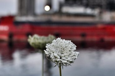 Τι είναι η “Ψυχική Ανθεκτικότητα”